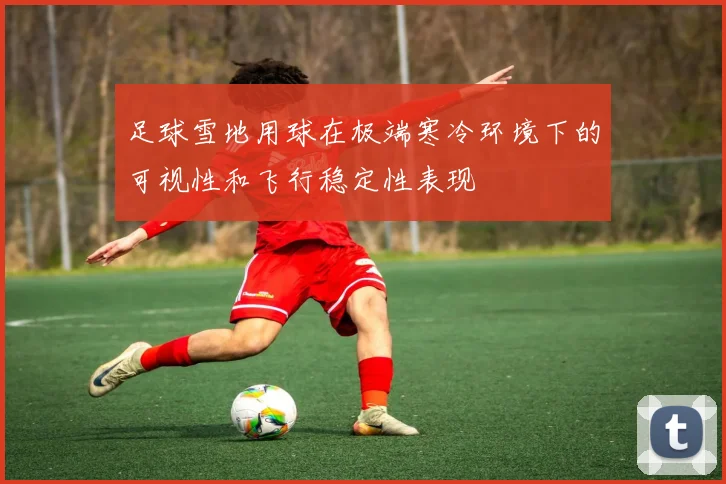 足球雪地用球在极端寒冷环境下的可视性和飞行稳定性表现